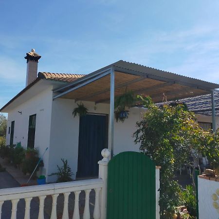 Alojamiento Rural La Perdiz La Puebla de los Infantes Exteriör bild