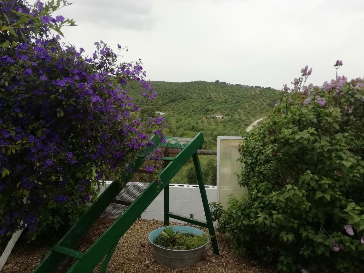 Alojamiento Rural La Perdiz La Puebla de los Infantes Exteriör bild